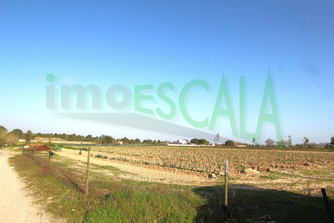 Terreno para Venda em Aveiras de Cima Foto 10