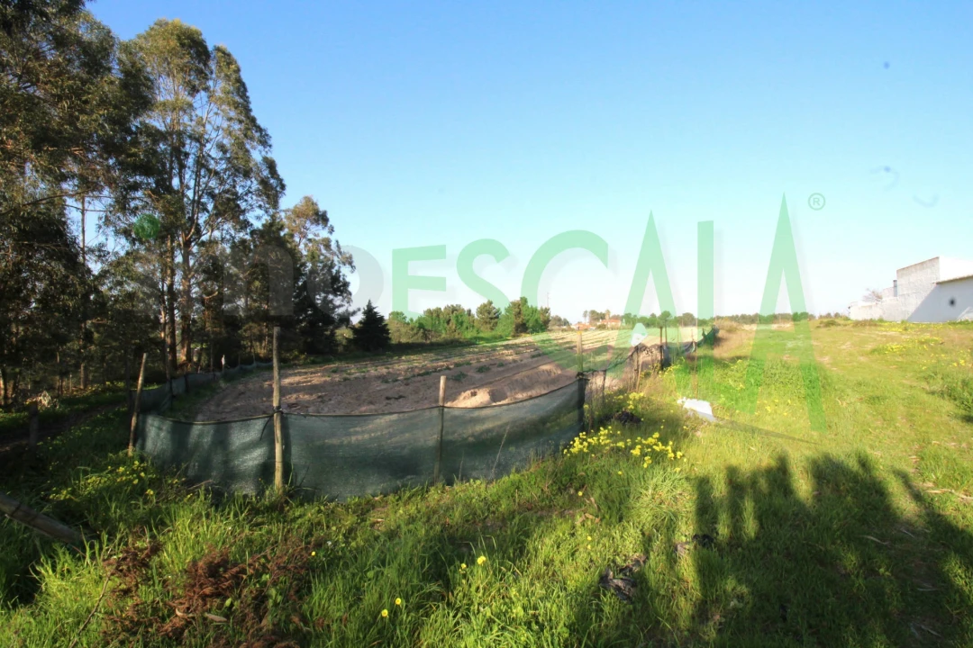 Terreno para Venda em Aveiras de Cima Foto 17