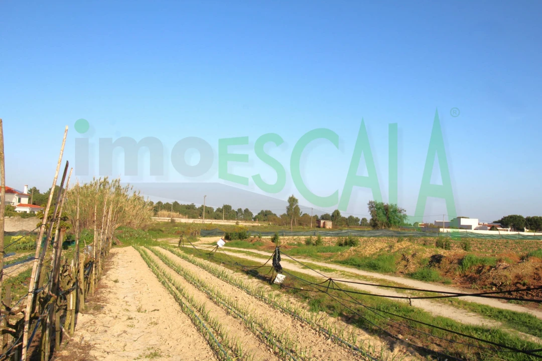 Terreno para Venda em Aveiras de Cima Foto 12
