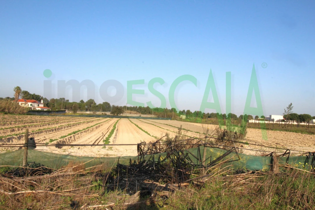 Terreno para Venda em Aveiras de Cima Foto 15