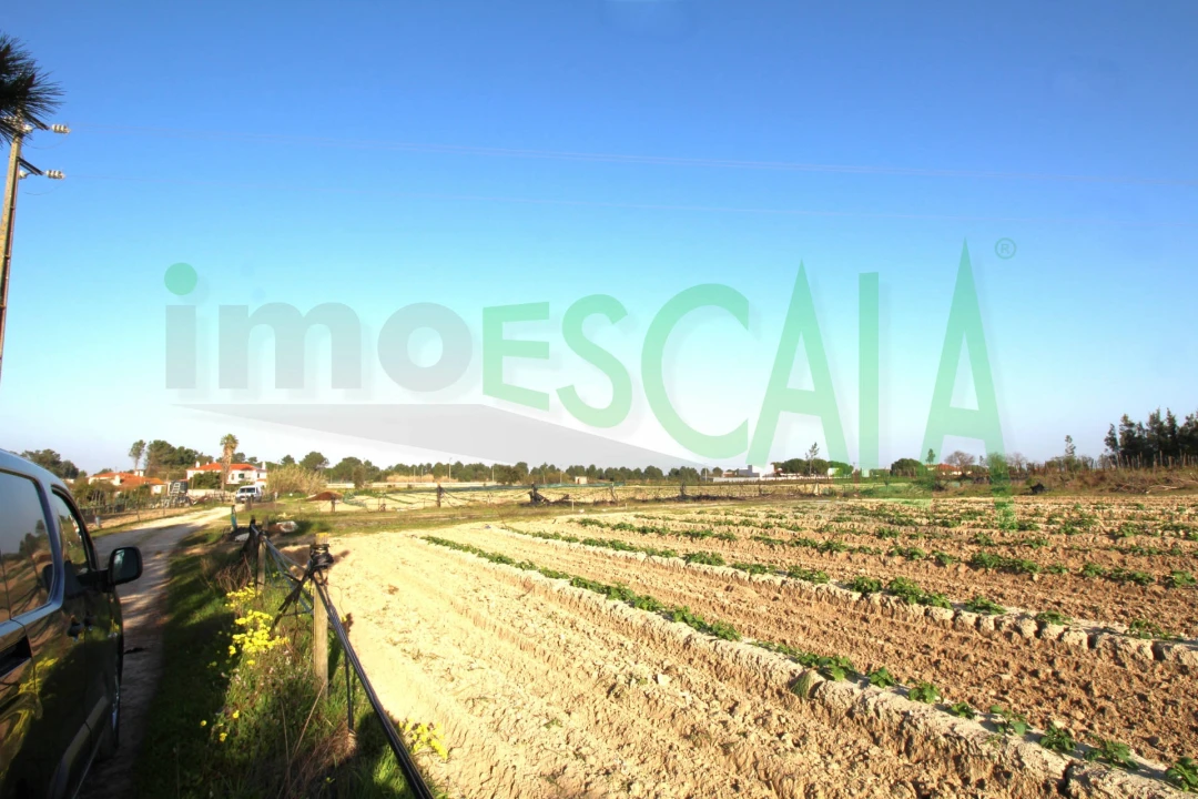 Terreno para Venda em Aveiras de Cima Foto 5