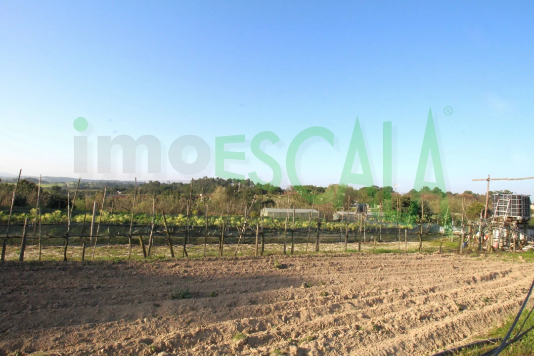 Terreno para Venda em Aveiras de Cima Foto 13