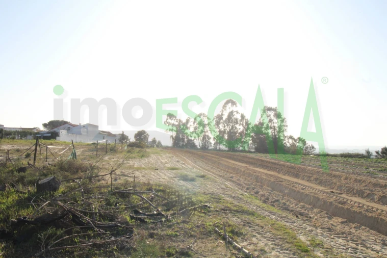 Terreno para Venda em Aveiras de Cima Foto 8