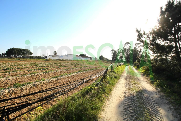 Terreno para Venda em Aveiras de Cima Foto 3