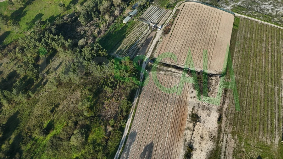 Terreno para Venda em Aveiras de Cima Foto 2