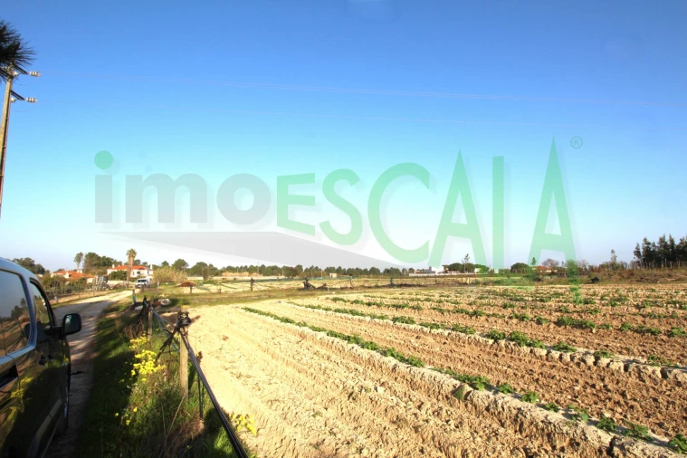 Terreno para Venda em Aveiras de Cima Foto 5