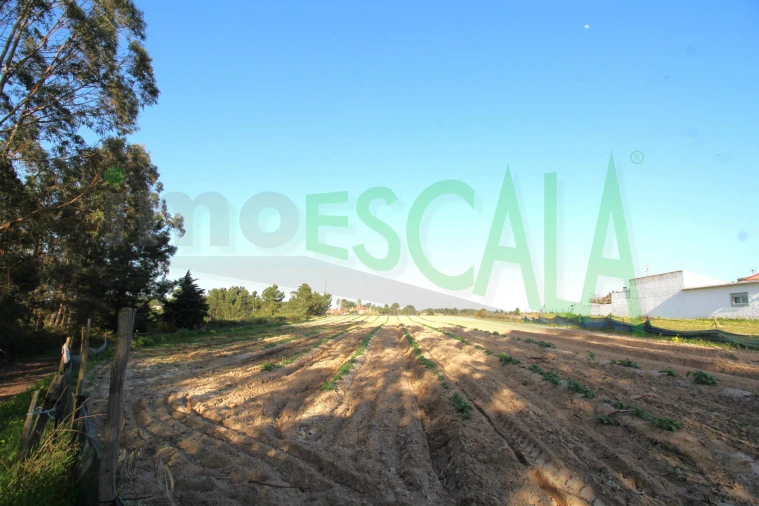 Terreno para Venda em Aveiras de Cima Foto 19