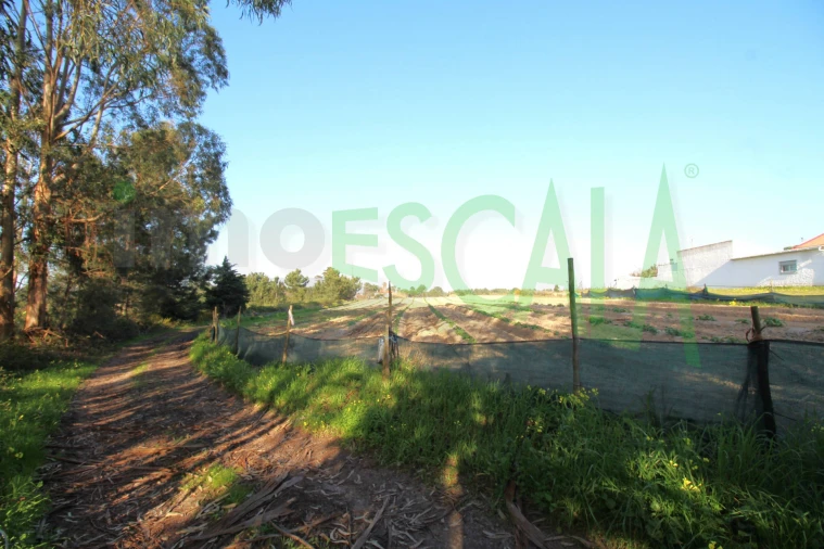 Terreno para Venda em Aveiras de Cima Foto 18