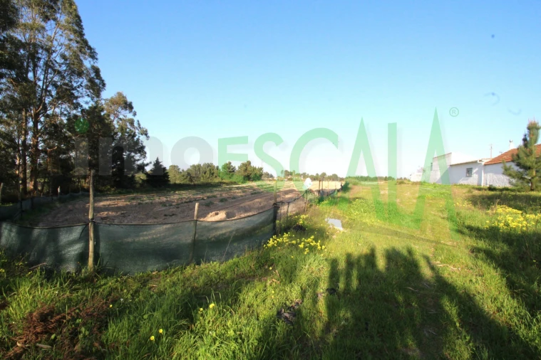 Terreno para Venda em Aveiras de Cima Foto 16