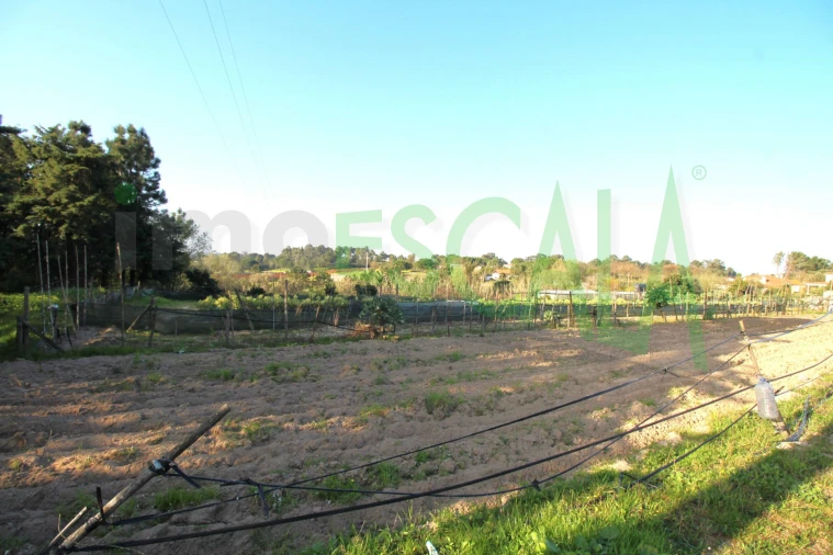 Terreno para Venda em Aveiras de Cima Foto 7