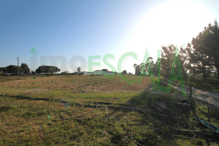 Terreno para Venda em Aveiras de Cima Foto 6