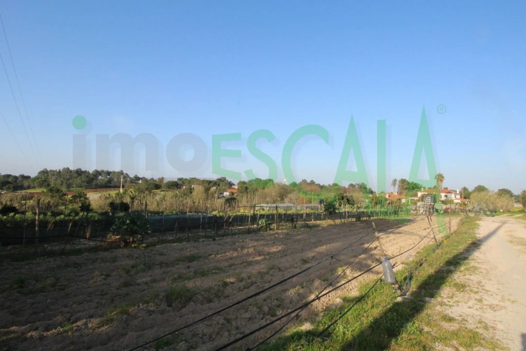 Terreno para Venda em Aveiras de Cima Foto 9