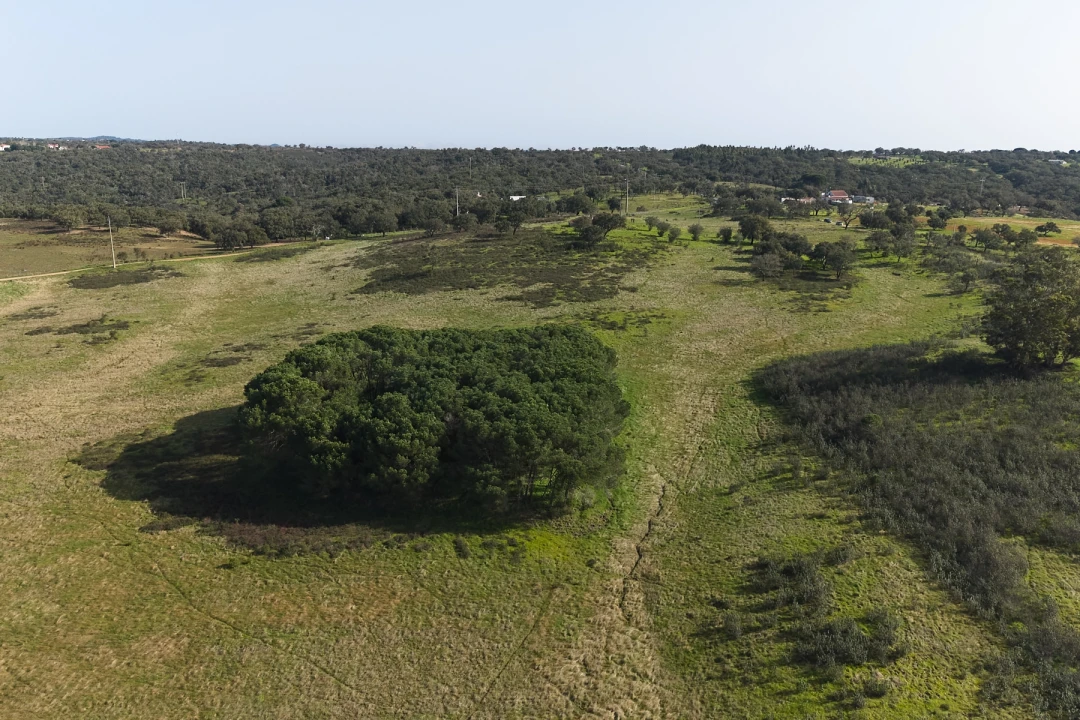 Quinta T2 para Venda em São Francisco da Serra Foto 27