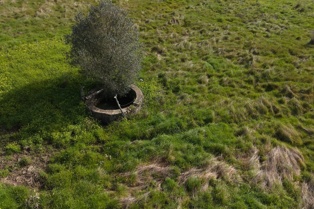 Quinta T2 para Venda em São Francisco da Serra Foto 29