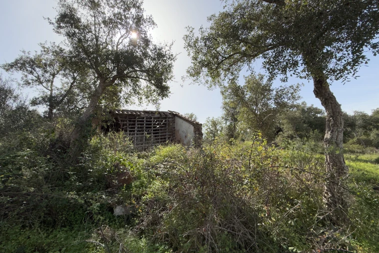 Quinta T1 para Venda em Melides Foto 12