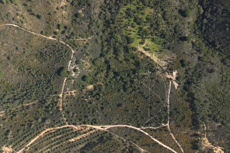 Quinta T1 para Venda em Melides Foto 4