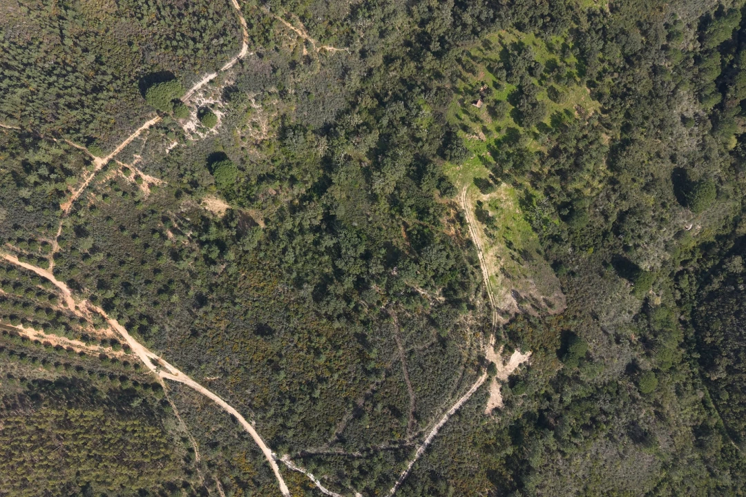 Quinta T1 para Venda em Melides Foto 5