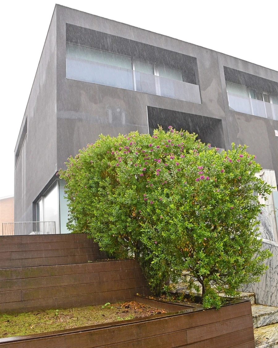 Moradia T4 para Arrendamento em Aldoar, Foz do Douro e Nevogilde Foto 3