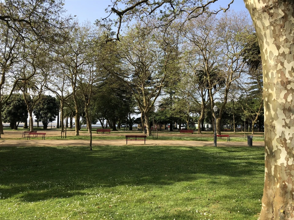 Apartamento T2 para Arrendamento em Aldoar, Foz do Douro e Nevogilde Foto 17