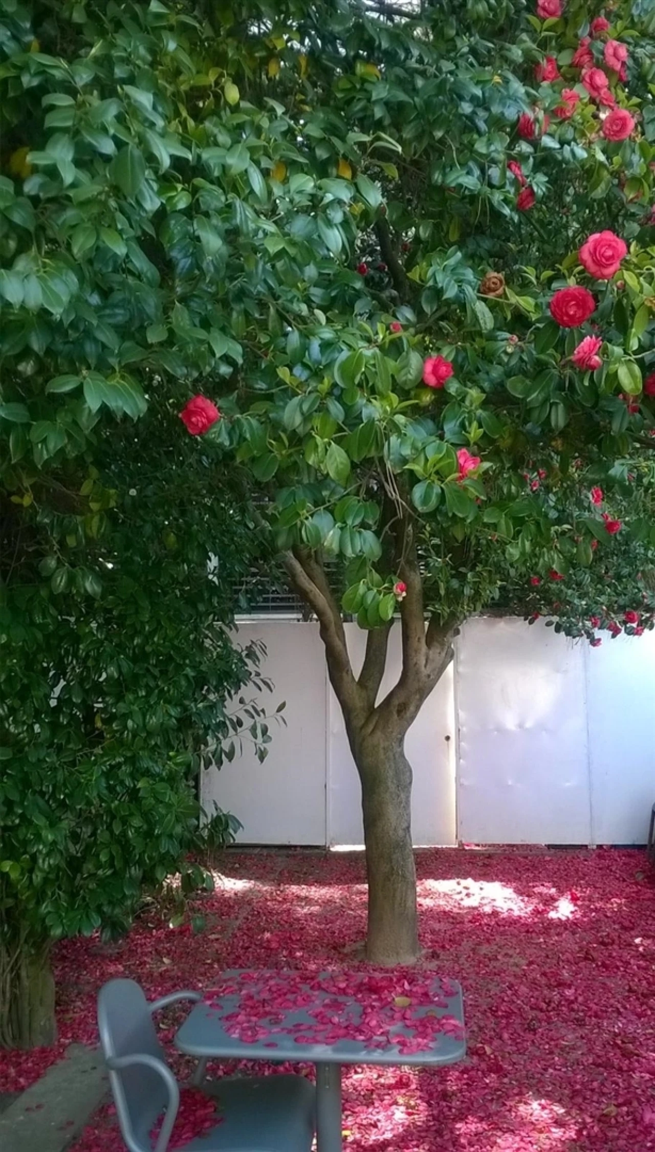 Negócio para Venda em Lordelo do Ouro e Massarelos Foto 4