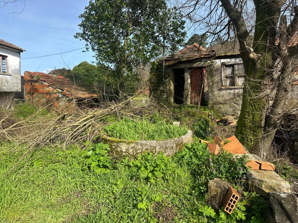 Moradia T0 para Venda em Alvaredo Foto 9