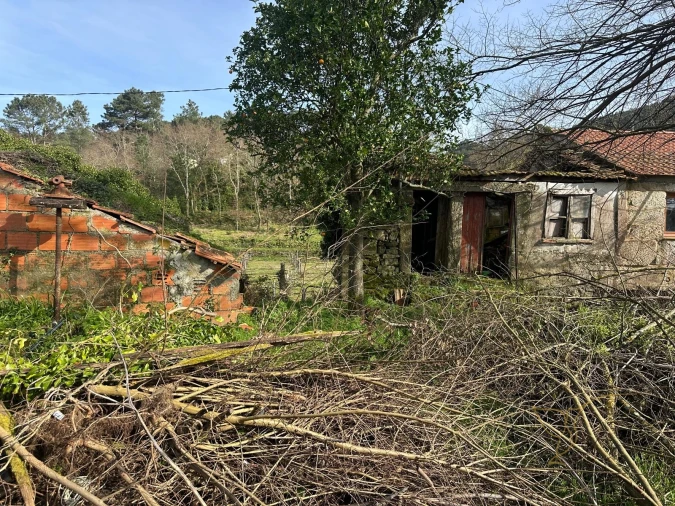 Moradia T0 para Venda em Alvaredo Foto 4