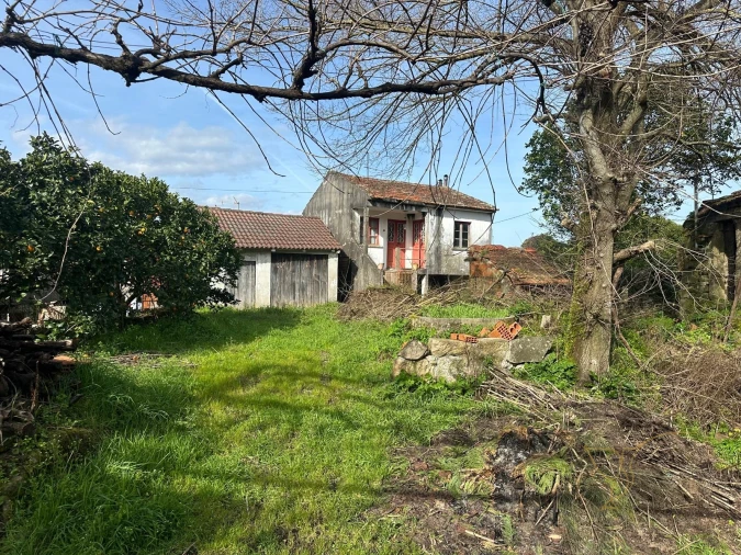 Moradia T0 para Venda em Alvaredo Foto 3