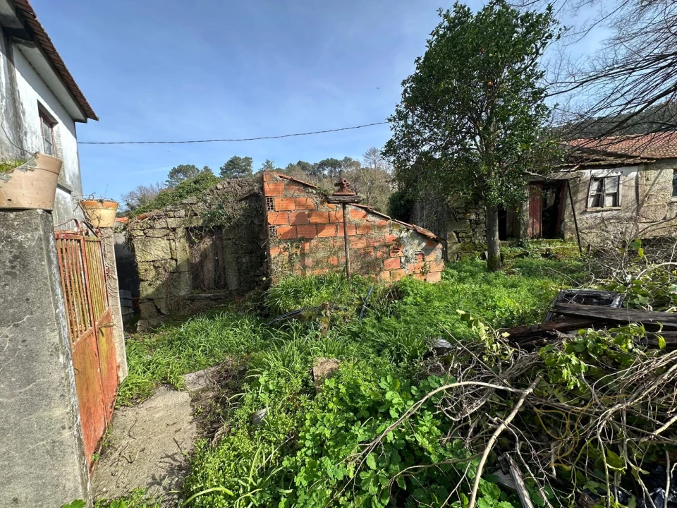 Moradia T0 para Venda em Alvaredo Foto 12