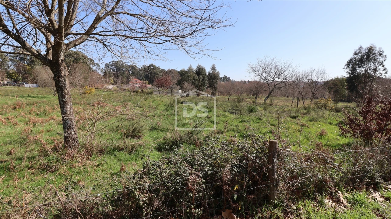 Terreno para Venda em Abraveses Foto 8