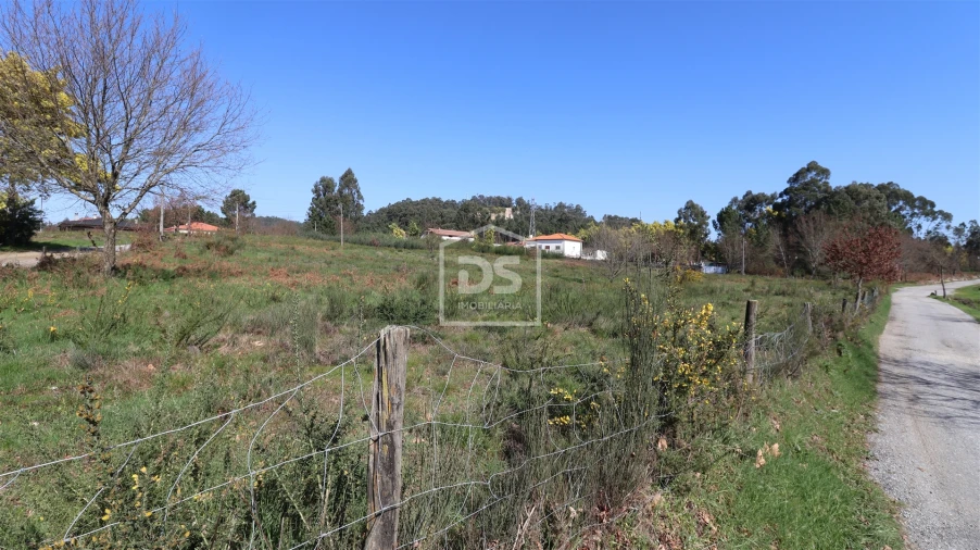 Terreno para Venda em Abraveses Foto 6