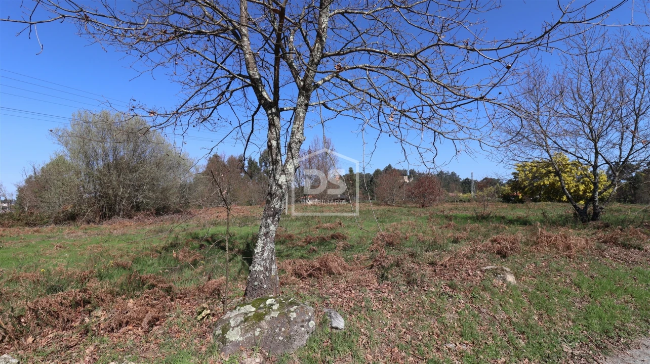 Terreno para Venda em Abraveses Foto 3