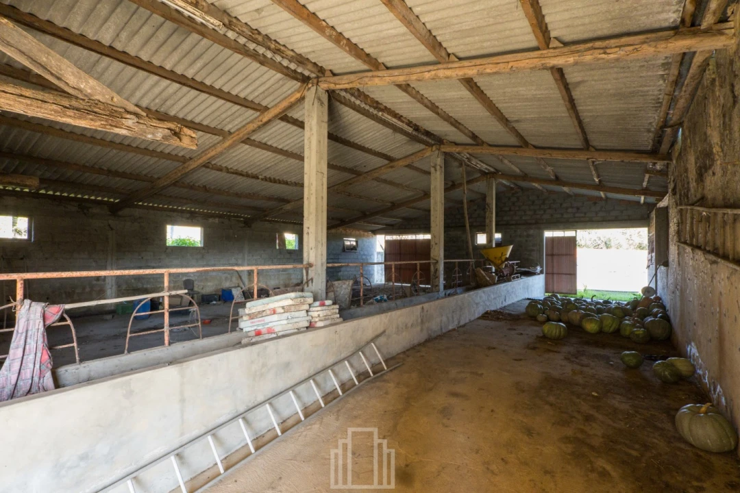 Moradia T4 para Venda em São Miguel do Souto e Mosteirô Foto 18