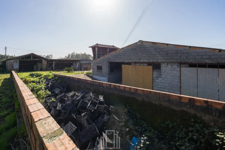 Moradia T4 para Venda em São Miguel do Souto e Mosteirô Foto 16