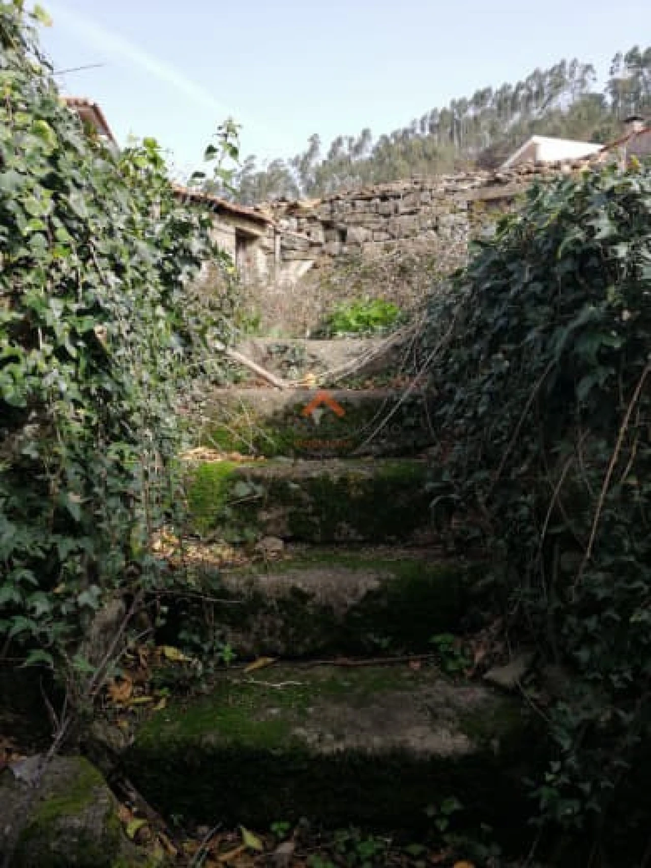 Moradia T4 para Venda em Talhadas Foto 11