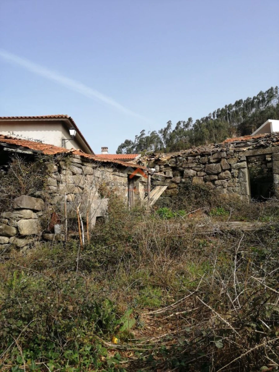 Moradia T4 para Venda em Talhadas Foto 10