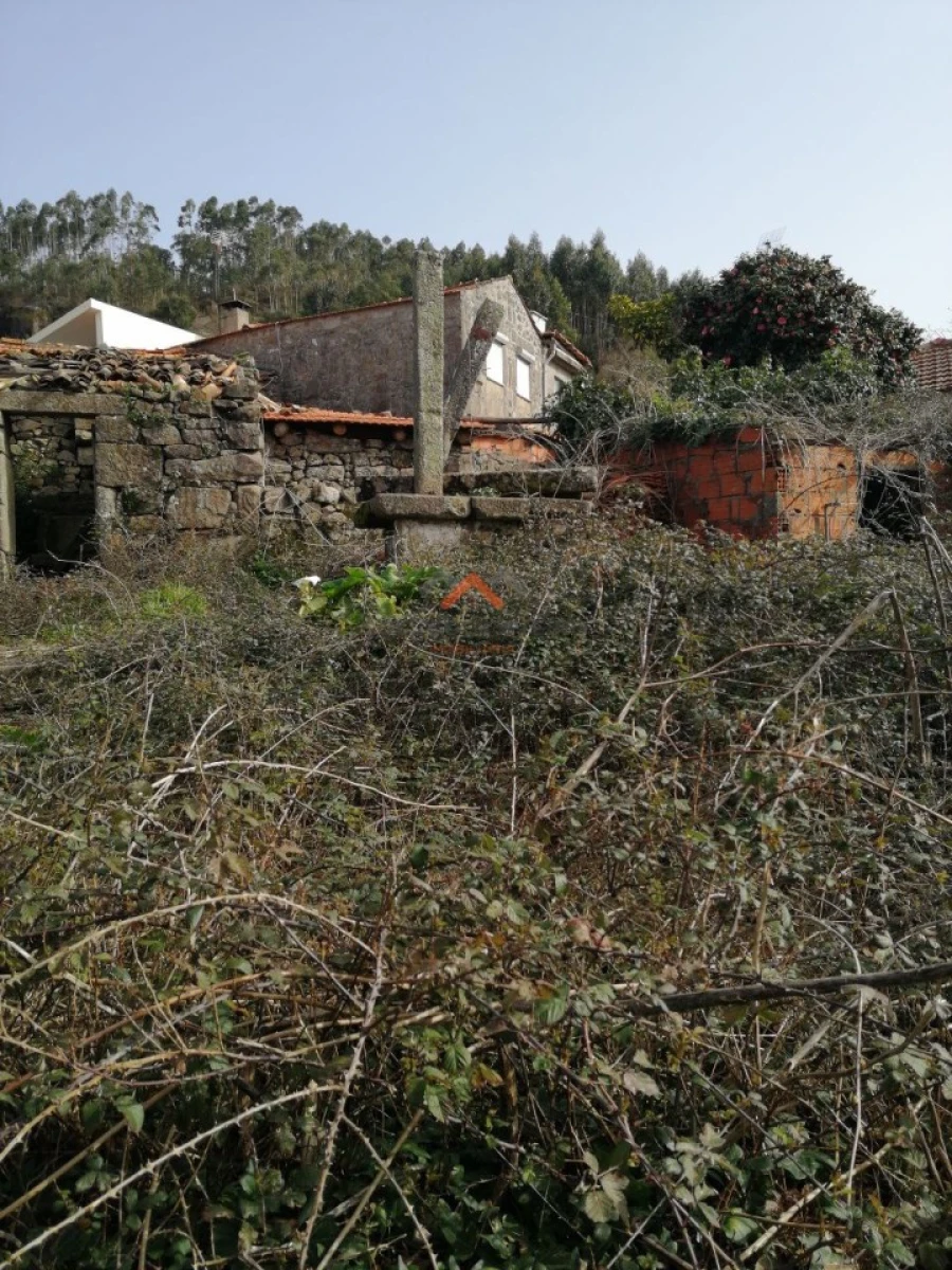 Moradia T4 para Venda em Talhadas Foto 14