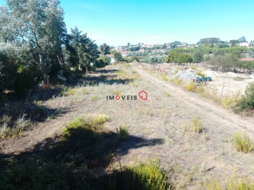 Terreno para Venda em Alcanhões