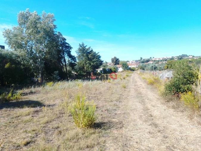 Terreno para Venda em Alcanhões Foto 13