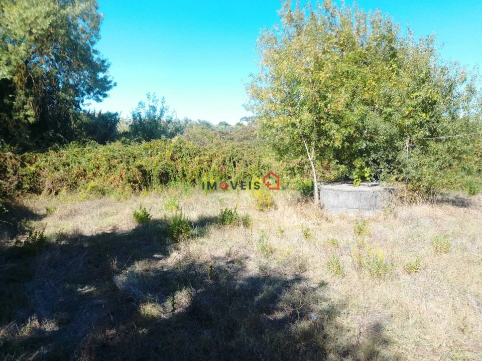 Terreno para Venda em Alcanhões Foto 18