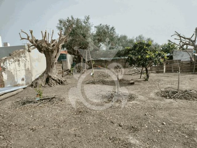 Moradia T4 para Venda em Reguengos de Monsaraz Foto 18