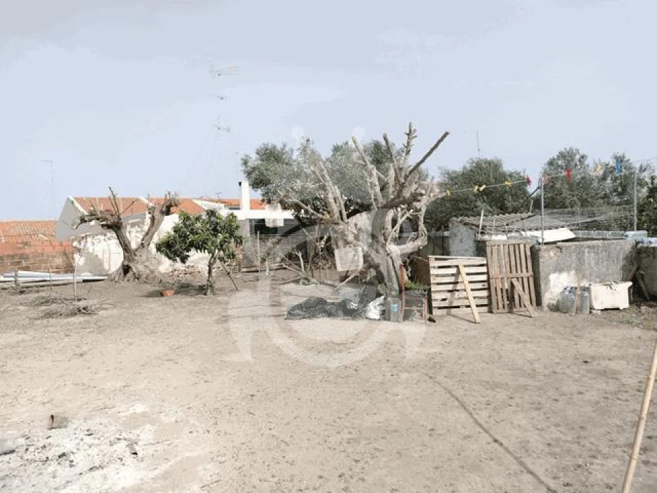 Moradia T4 para Venda em Reguengos de Monsaraz Foto 15