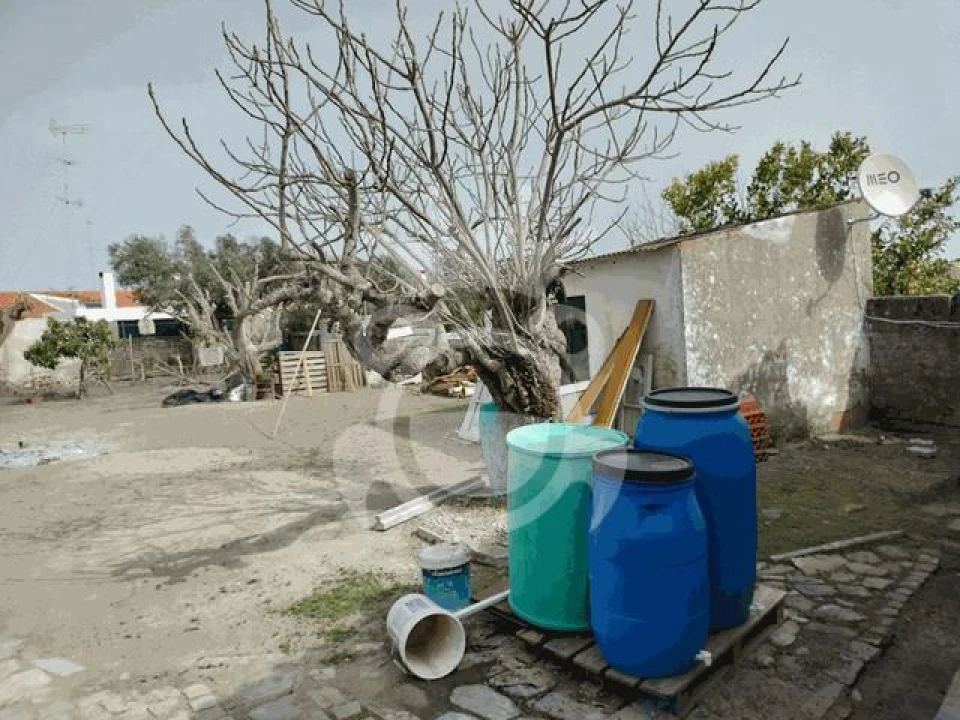 Moradia T4 para Venda em Reguengos de Monsaraz Foto 13