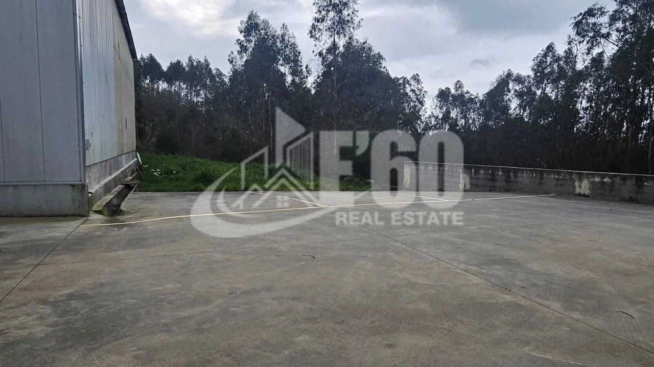 Armazém para Arrendamento em São João de Ver Foto 5