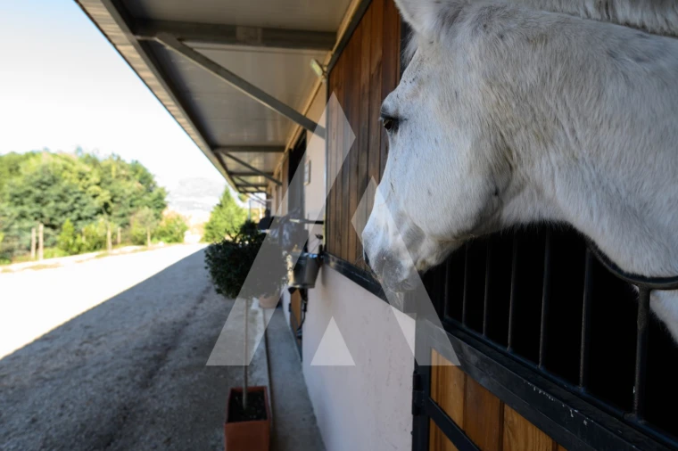 Quinta T6 para Venda em Ferro Foto 5