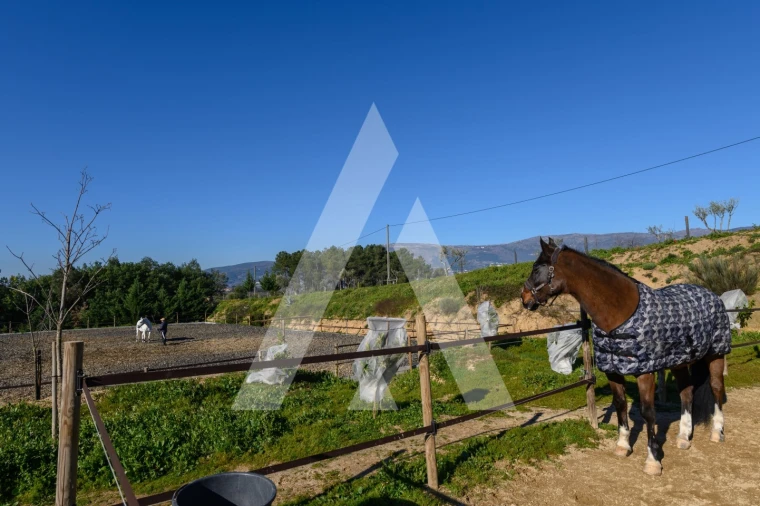 Quinta T6 para Venda em Ferro Foto 9