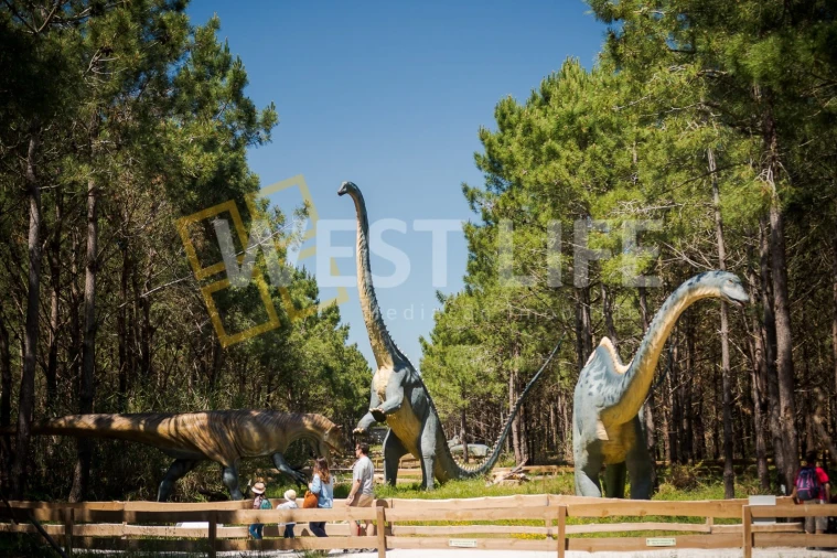 Apartamento T2 para Venda em Lourinhã e Atalaia Foto 21