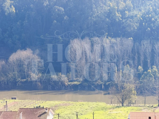 Moradia T2 para Venda em Lorvão Foto 41