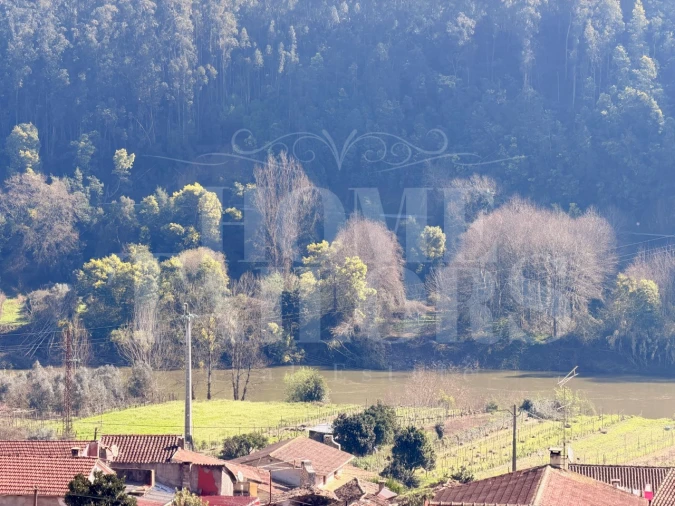 Moradia T2 para Venda em Lorvão Foto 42