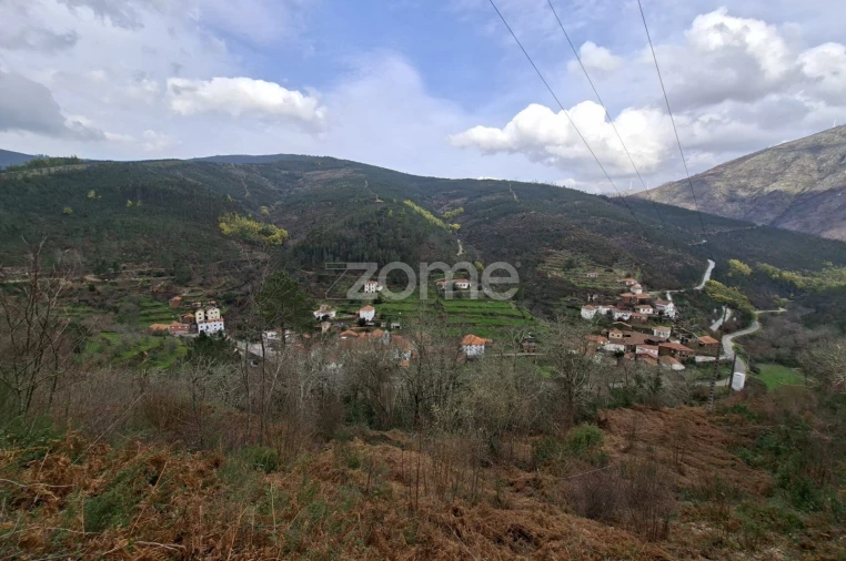 Moradia T3 para Venda em Cepos e Teixeira Foto 8