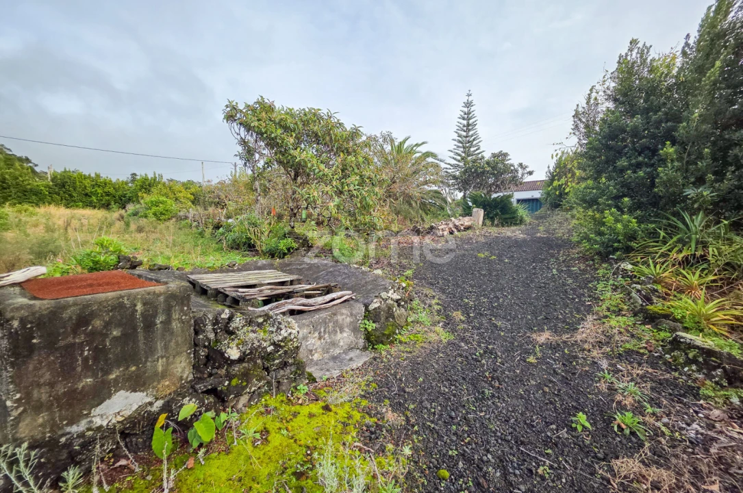 Moradia T4 para Venda em Candelaria Foto 20